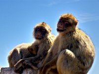 andalusie2017 (100)