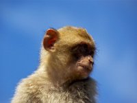 andalusie2017 (101)
