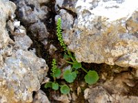 andalusie2017 (106)