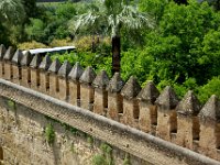 andalusie2017 (27)
