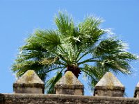 andalusie2017 (34)
