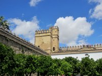 andalusie2017 (36)
