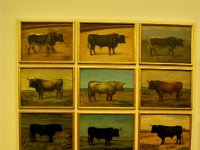 andalusie2017 (67)