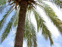 andalusie2017 (71)