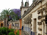 andalusie2017 (72)