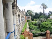 andalusie2017 (76)