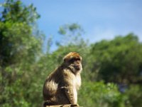 andalusie2017 (98)