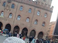 bologna (20)