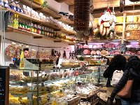 bologna (50)