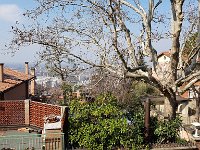 bologna (85)