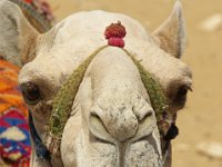 Egypte (12)
