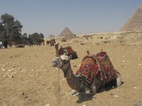 Egypte (12a)
