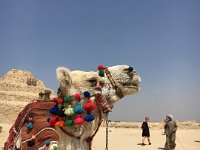 Egypte (12b)