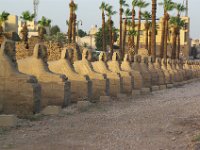 Egypte (29)