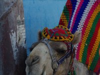 Egypte (46)