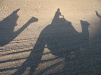 IMG 6897
