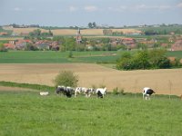 Ieper2010 (15)