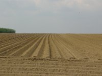 Ieper2010 (26)