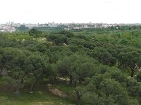 Madrid-2018 (194) 0001