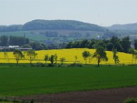 IMGP0987