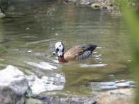 IMGP1073