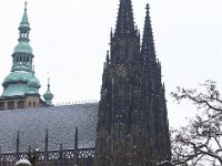 IMGP2413 1