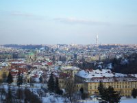 IMGP2445 1