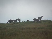 11092014 (9)a