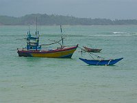 IMG 1194d-Edited