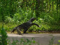 IMG 9402d-edit