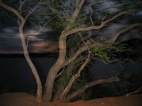 IMG 9563