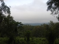 DSCN5656