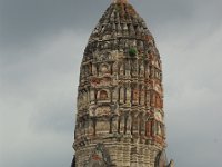 IMGP0629