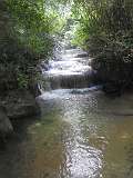 50: DSCN5606